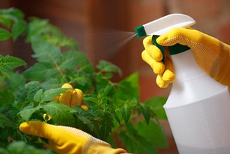 Cuidado y protección de plantas